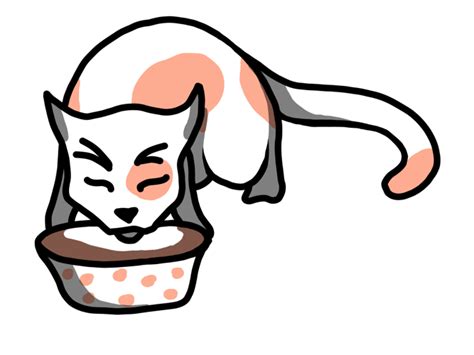 The Many Perks of Being a Cat Person | IAMS Dog & Cat Pet Food Brand