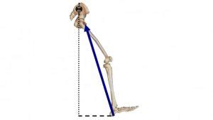 Image result for Over Striding Pitching