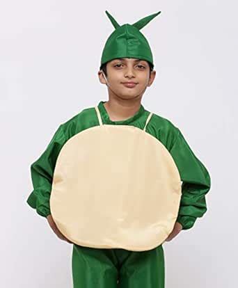 Buy Chipbeys Fancy Dress Costume for School Competition, Annual ...