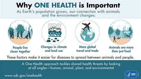 Image result for One Health CDC