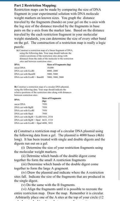 Circular Restriction Mapping 的图像结果