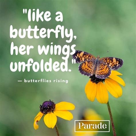 Butterfly Art Quotes at Samantha Tomlinson blog