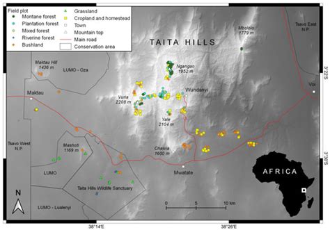 Contribution of Tree Size and Species on Aboveground Biomass across ...