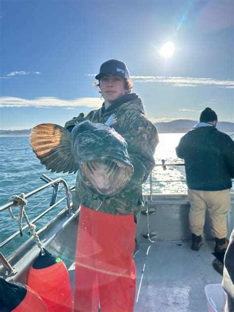 Tradewinds Charters 的图像结果