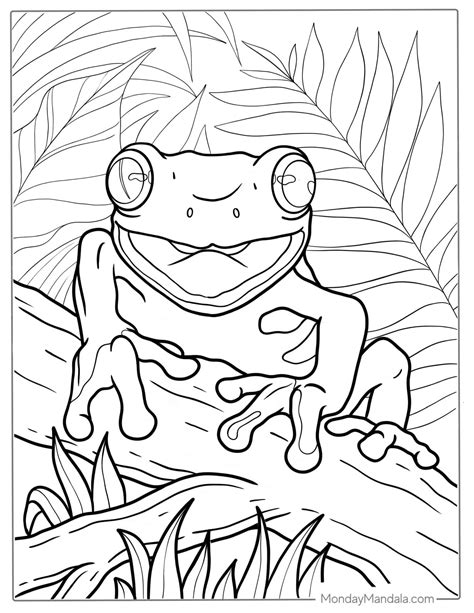 47 Frog Coloring Pages (Free PDF Printables)