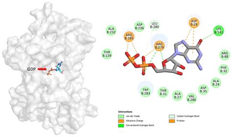 Anticancer Effects of Pleurotus salmoneostramineus Protein Hydrolysate ...
