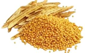 LIVWELL Organic Mustard Seeds Big/Sarson ke Beez/Ava Ginjalu Chemical ...