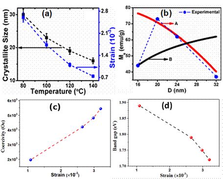 CoFe 2 O 4 nanoparticles