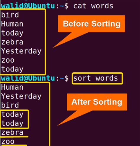 Sort Command Tutorial 的图像结果