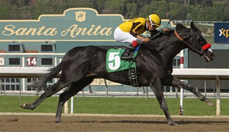 Stock photo 96591847 - ARCADIA, CA - FEB. 25:Daniel Vergara and "Bench ...