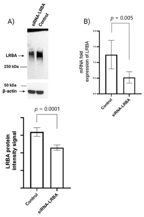Understanding the Mechanism of Diabetes Mellitus in a LRBA-Deficient ...