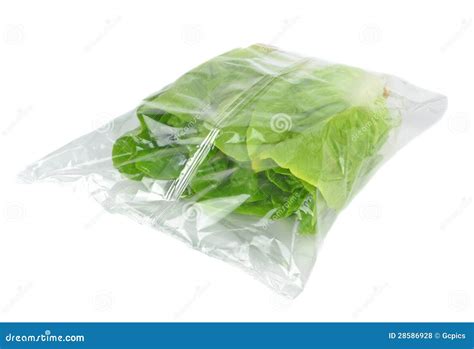 Fresh lettuce in a bag stock photo. Image of plant, nutrition - 28586928