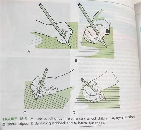 Quad Grip Pencil at Judy Moore blog