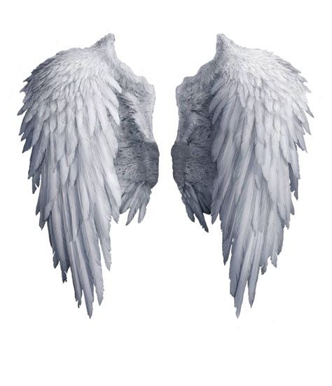 Angel Wings PNG Image Transparent Background