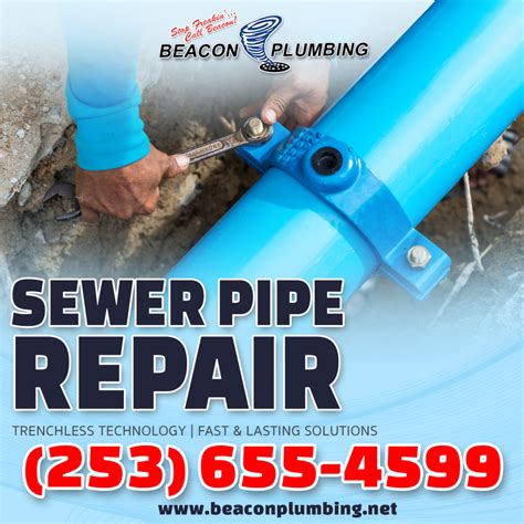 Sewer Pipe Repair 的图像结果
