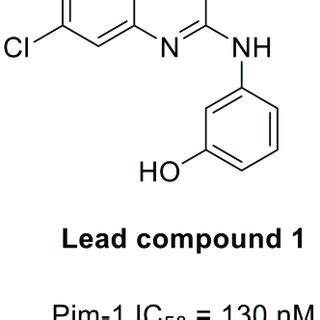 Lead Compound 的图像结果