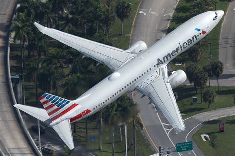 American Airlines Boeing 737-800 Suffers Multiple Bird Strikes