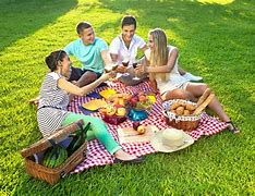 Image result for 郊游 picnic