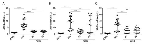 Probiotics Supplements Reduce ER Stress and Gut Inflammation Associated ...