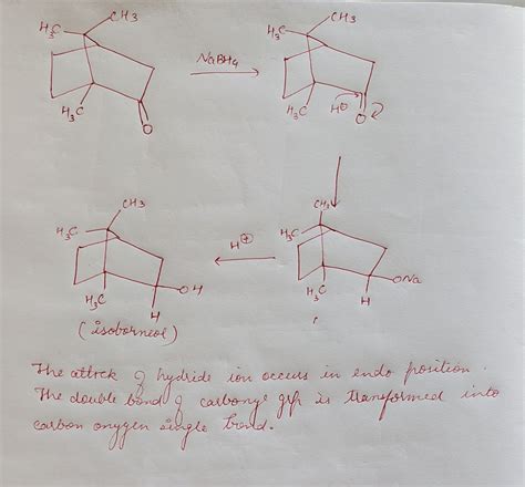 [Solved] Draw the mechanism of the reduction of camphor to borneol and... | Course Hero
