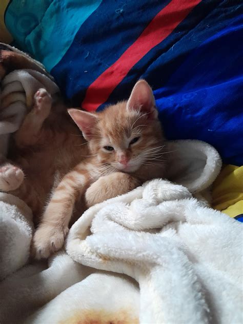 Strange sleeping positions. The sequels sequel. : r/OneOrangeBraincell