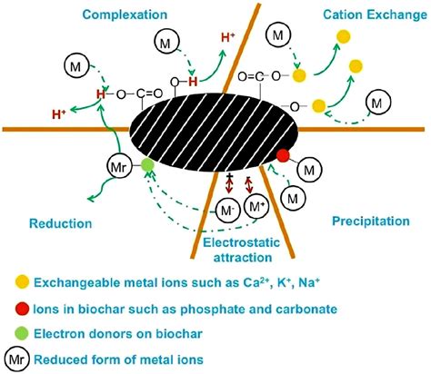 A Review of Non-Soil Biochar Applications