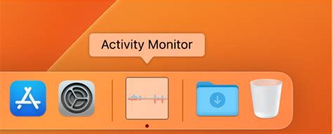 Activity Monitor User Guide for Mac - Apple Support (IN)