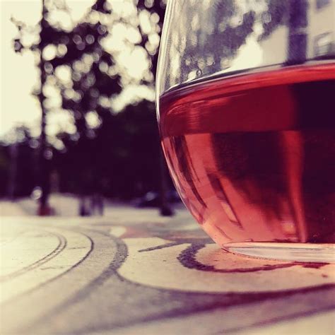 Discover the Delight of French Roses