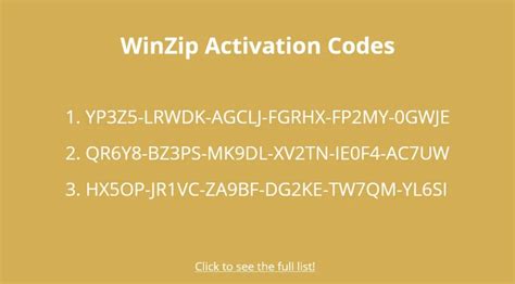 Image result for WinZip 25 Activation Code