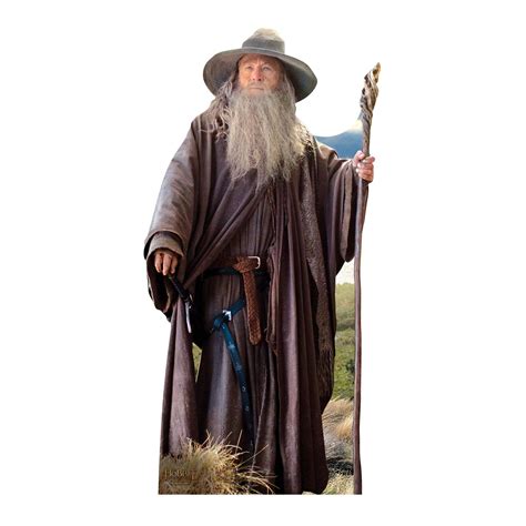 Buy Star Cutouts SC667 "Gandalf The Lord of the Rings" Cardboard Cut ...