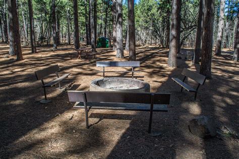Dairy Springs Campground, an Arizona National Forest