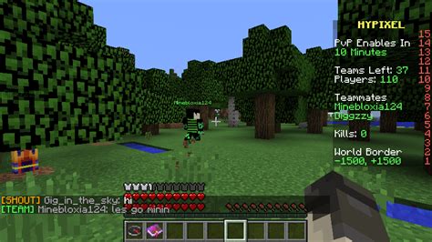 Image result for Bionic UHC Minecraft Multiplayer