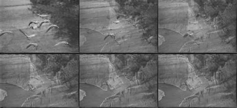 Dissolve Effect Tutorial 的图像结果