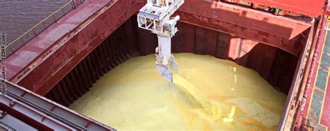 Bulk Container Loading 的图像结果