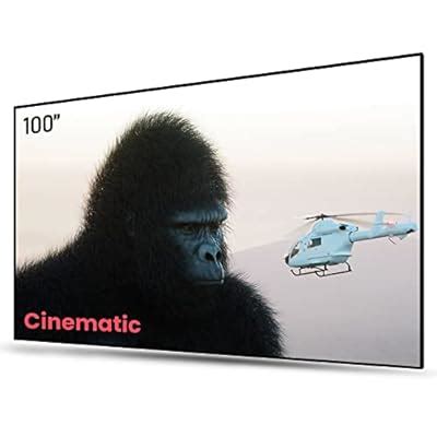 AWOLVISION AWOL VISION Ambient Light Rejecting (ALR) Projector India | Ubuy