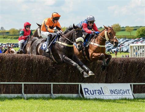 Point to Point Racing 的图像结果