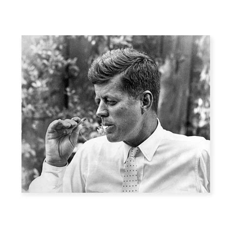 JFK 的图像结果