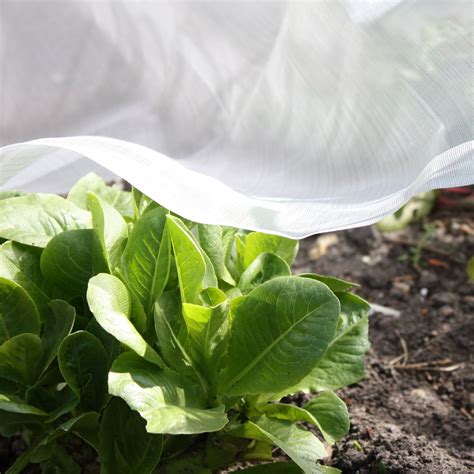 Image result for Insect Mesh Netting