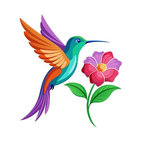 Imágenes de Colibri animado - Descarga gratuita en Magnific (antes Freepik)