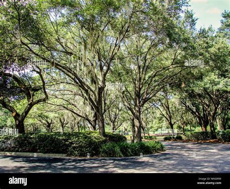 Cypress Grove Park in Orlando Florida, Central Florida Stock Photo - Alamy