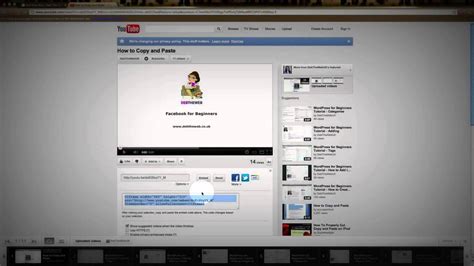 Image result for Copy and Paste Video