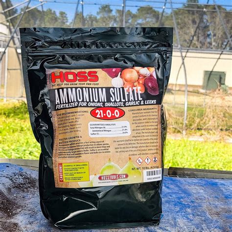 Hyssop Growing Guide – HOSS