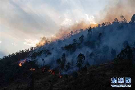 四川雅江山林大火，逾1100人持续扑救 - 星岛环球网