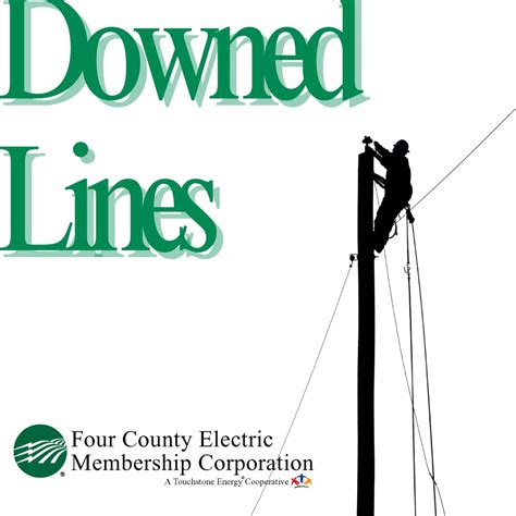 Four County Electric Membership Corporation on LinkedIn: #safetyfirst # ...