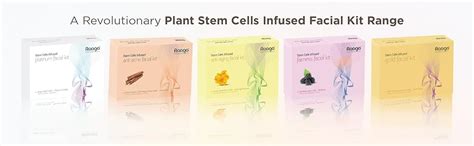 Raaga Professional Stem Cells Infused Facial Kit, Gold, 61 g : Amazon ...