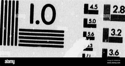 Image result for Test LCD Native Screen Resolution Chart