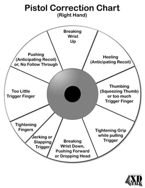 Pistol Shooting Accuracy 的图像结果