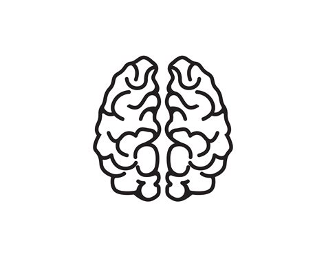 Brain Vector 的图像结果