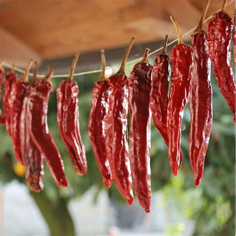 How to Dry Chili Peppers for Best Results - GardensAll