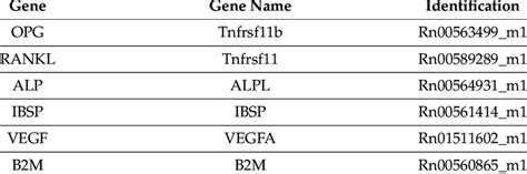 Image result for TaqMan Machine